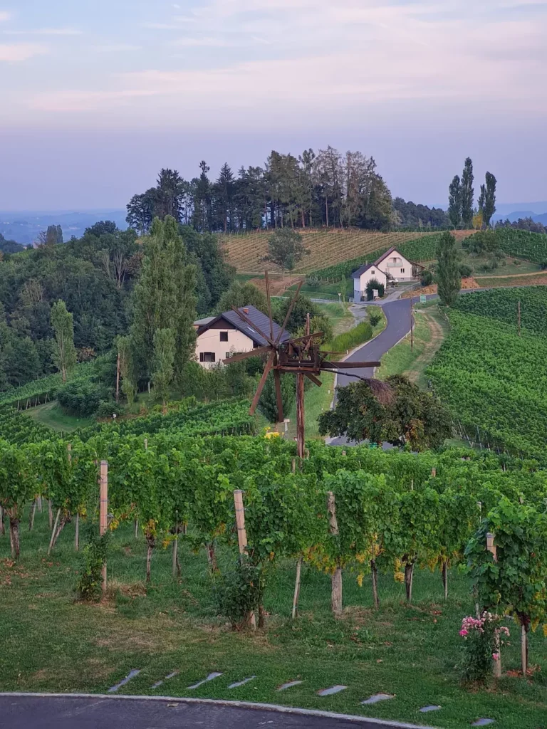 Aussicht Tschermonegg