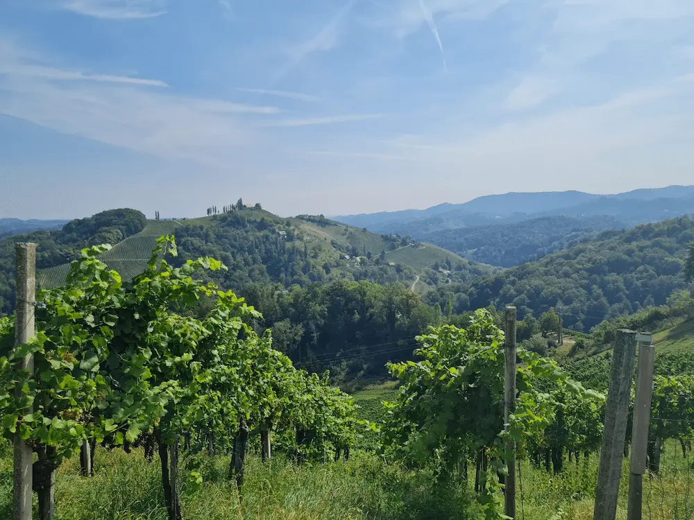 Aussicht Glanzer Weintour
